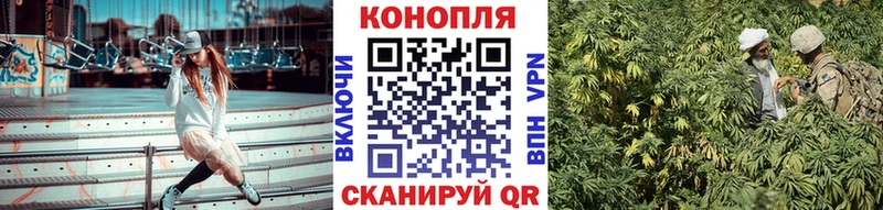 omg маркетплейс  Талдом  Канабис планчик 